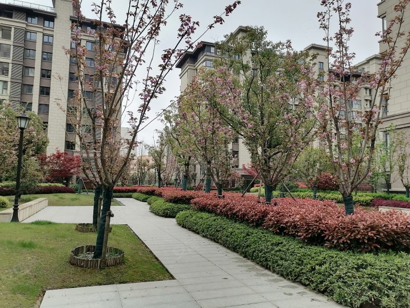 弘阳昕悦府,障山路-秦皇岛弘阳昕悦府二手房,租房,房价-秦皇岛安居客