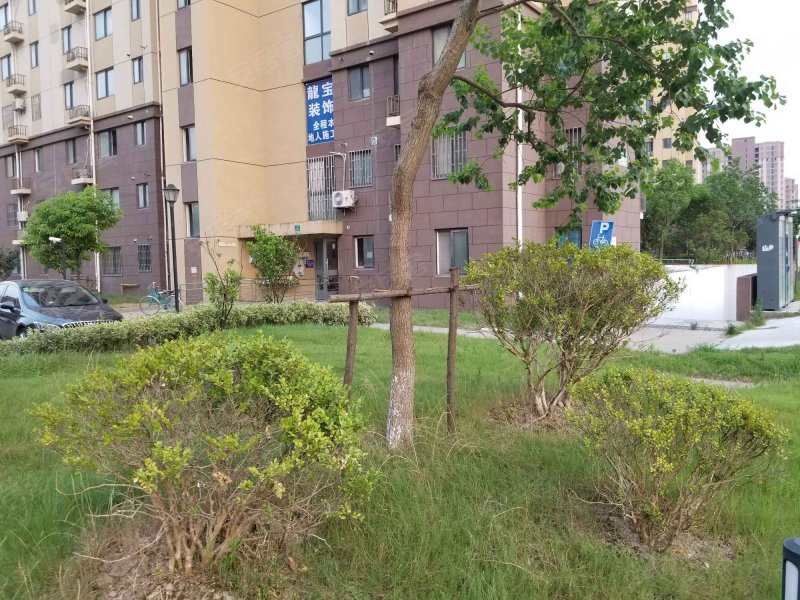 民乐城惠益绿苑东苑