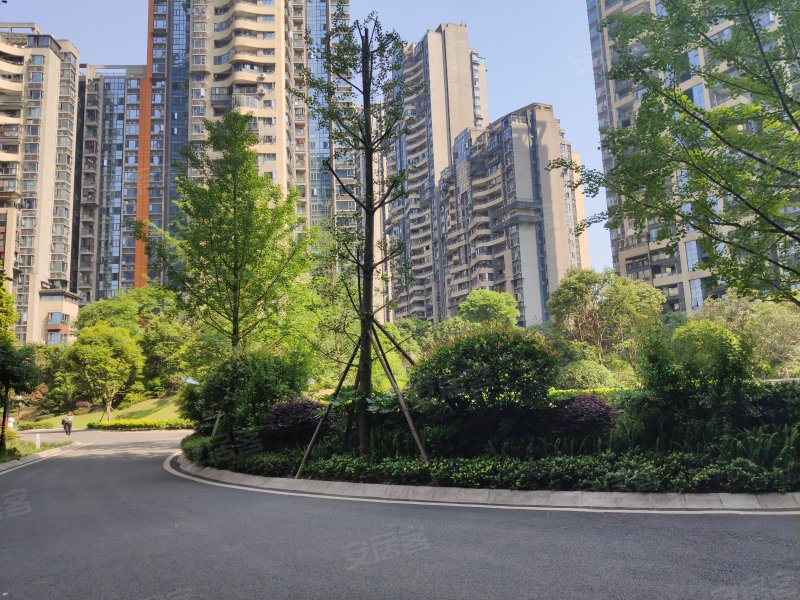 碧桂园生态城,酒谷大道三段