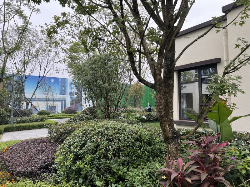 仁寿天府智慧城