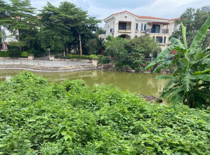 天鹅湾(别墅)二手房,388万,5室3厅,3卫,300平米-江门安居客