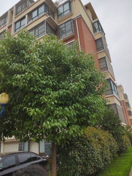 锦城花园,工业北路,近湖东街-临沂锦城花园二手房,租房,房价-临沂安居