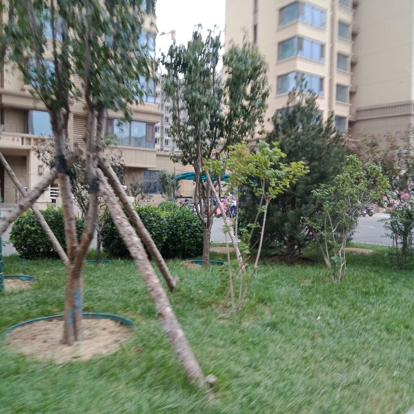 泰华旭景城,京衡南大街-衡水泰华旭景城二手房,租房,房价-衡水安居客
