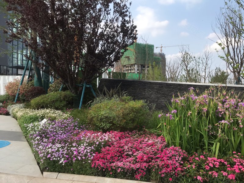 邦泰翡翠城,庐山北路-德阳邦泰翡翠城二手房,租房,房价-德阳安居客