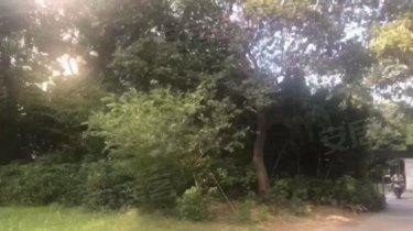 银河新都(南区)