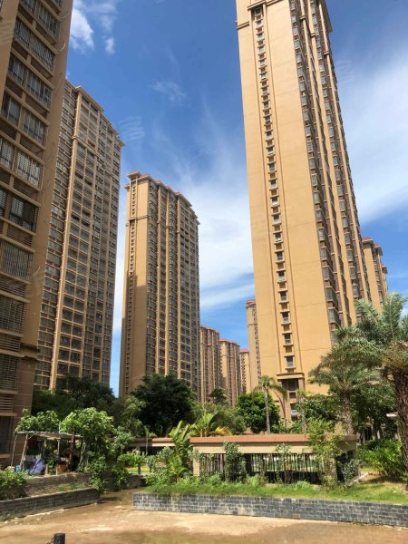 新港城第十四社区,油杏街666号-漳州新港城第十四社区二手房,租房