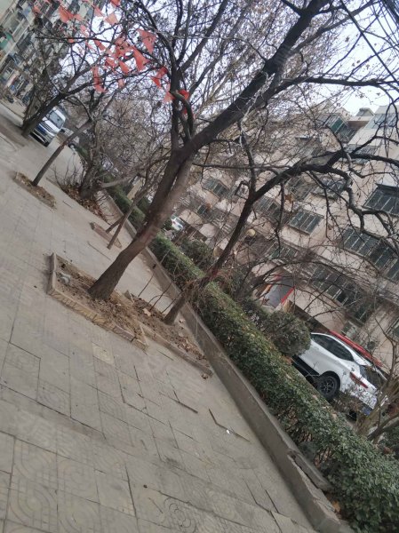 邯钢军营路生活区,军营路-邯郸邯钢军营路生活区二手房,租房,房价