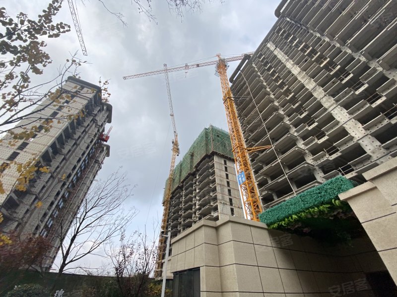 鑫都紫宸府,凤岐路,近跃大道-济南鑫都紫宸府二手房,租房,房价-济南