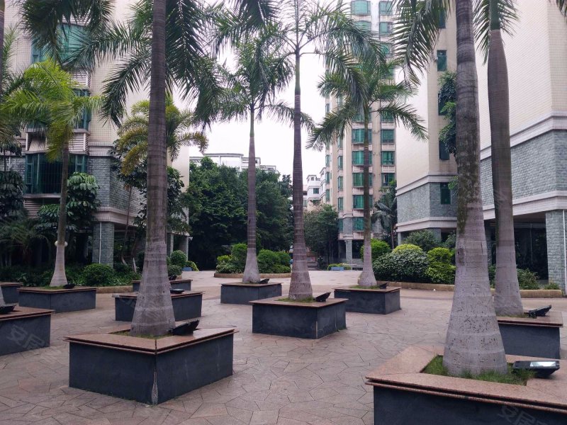 富安花园b区,富城二路-佛山富安花园b区二手房,租房,房价-佛山安居客