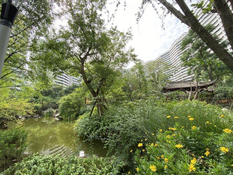 鲁能山水原著溢香谷
