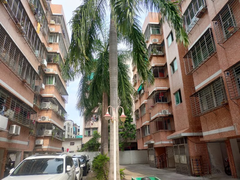 金馥园,潮护路25号|-汕头金馥园二手房,租房,房价-汕头安居客