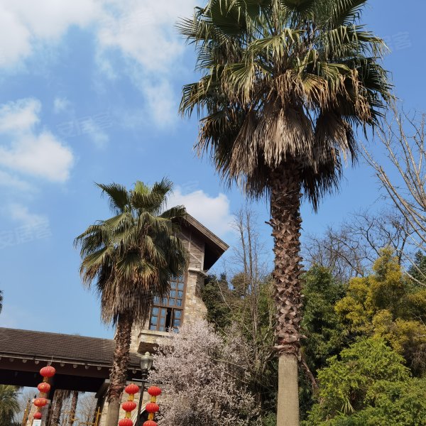 观岭国际社区(别墅)