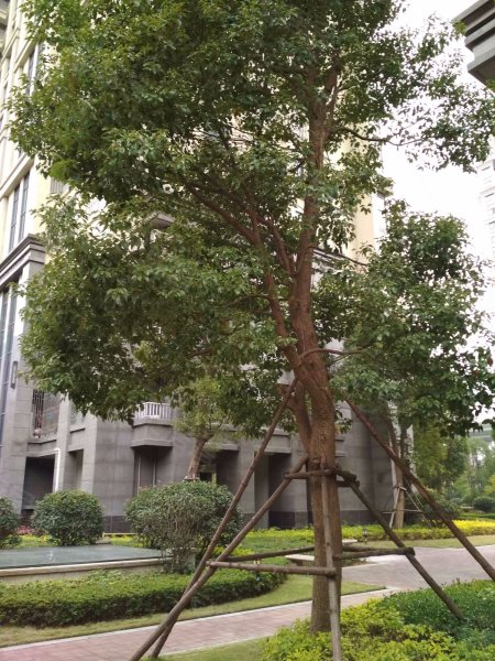 迪鑫天水城,西关街336号-福州迪鑫天水城二手房,租房,房价-福州安居客