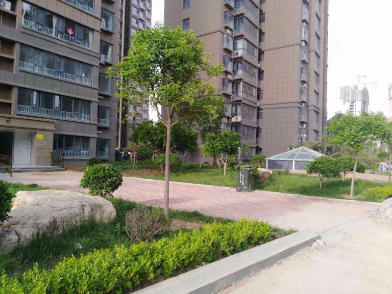 金鼎国际(兰陵)