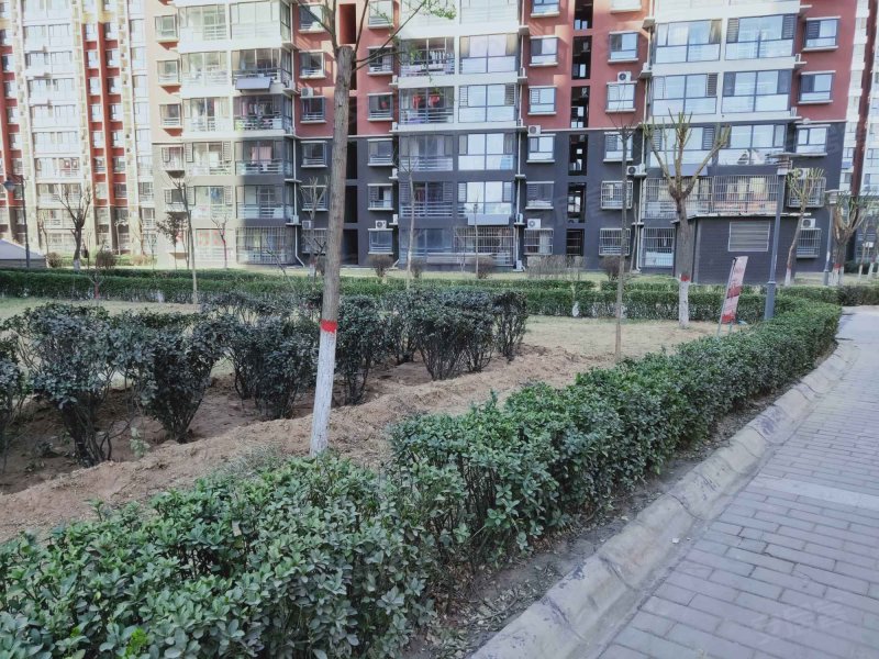 同安花园,同安街429号-武安同安花园二手房,租房,房价-武安安居客