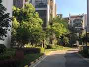 金科东方王榭(南区) 近地铁 商圈成熟 商品房