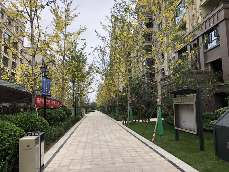 蓝光公园华府世家,望城一路-西安蓝光公园华府世家二手房,租房,房价