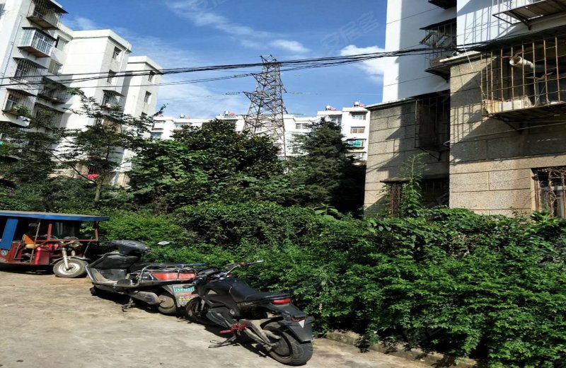 金沙小区(盘龙)