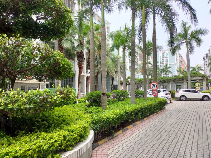 金东花园,东厦路90号