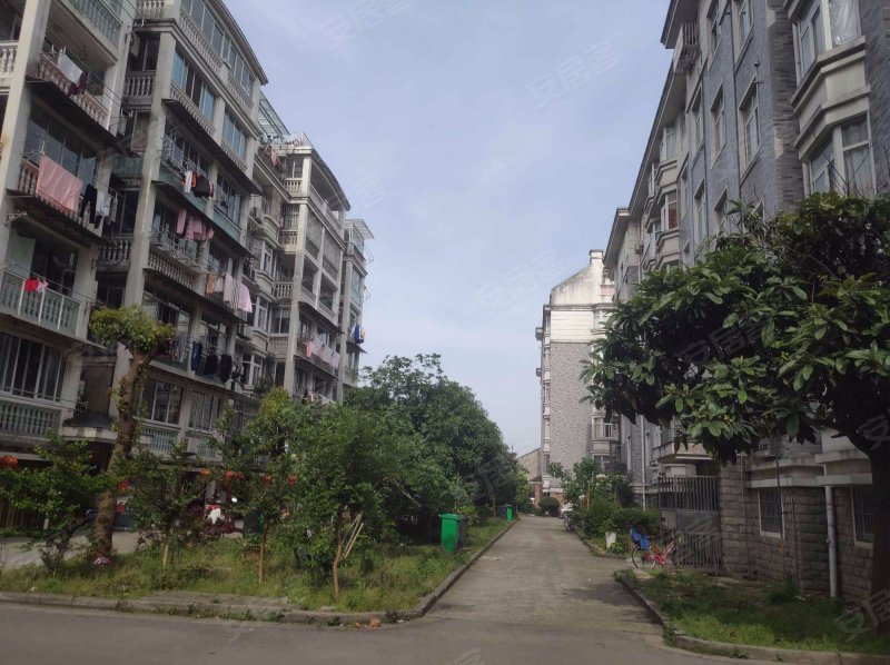 江南明珠园公寓,环西路,近环南路-绍兴江南明珠园公寓二手房,租房