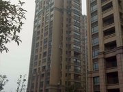 白金湾 南北通透 高楼层视野无遮挡 精装好房 有电梯