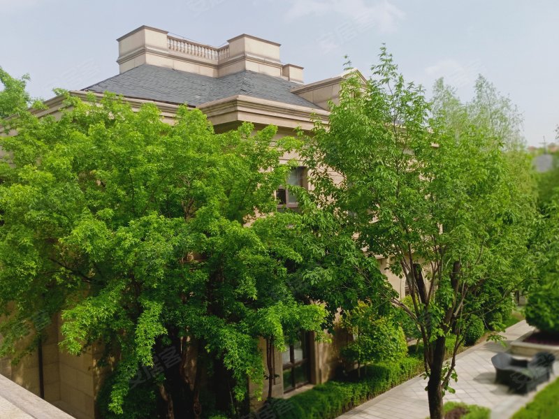 新湖仙林金谷(南区别墅)