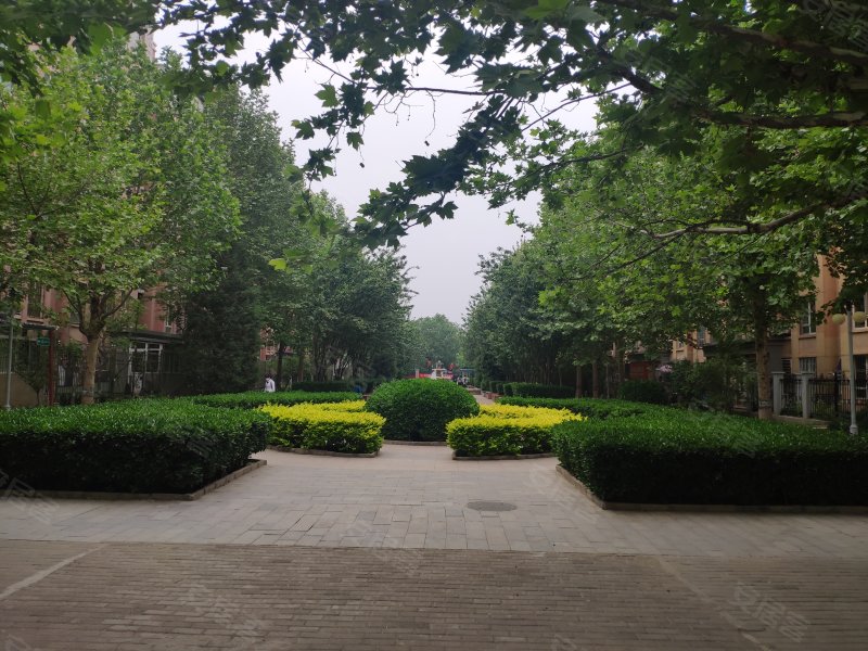 万年花城玫瑰碗(万年花城三期)