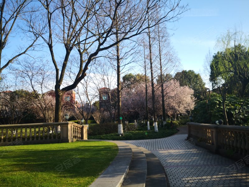 四季雅苑(别墅)