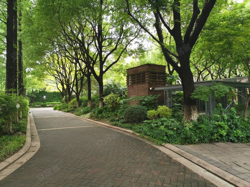 碧云国际社区晓园,红枫路358弄-上海碧云国际社区晓园二手房,租房