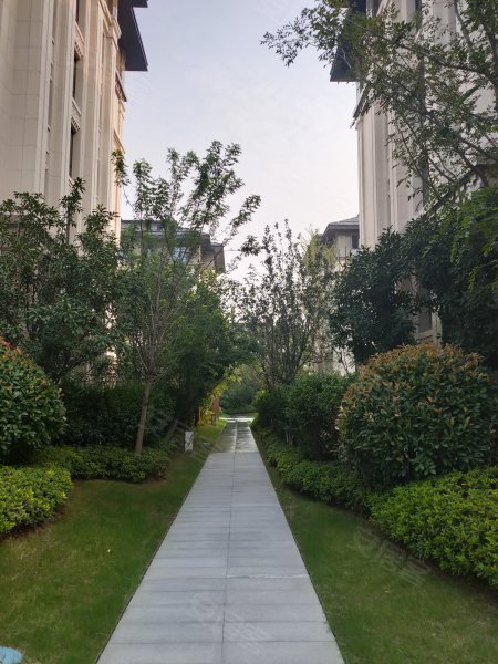 建业海马九如府(别墅)