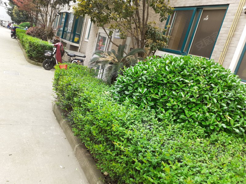 中兴花园,铁艺路-芜湖中兴花园二手房,租房,房价-芜湖安居客