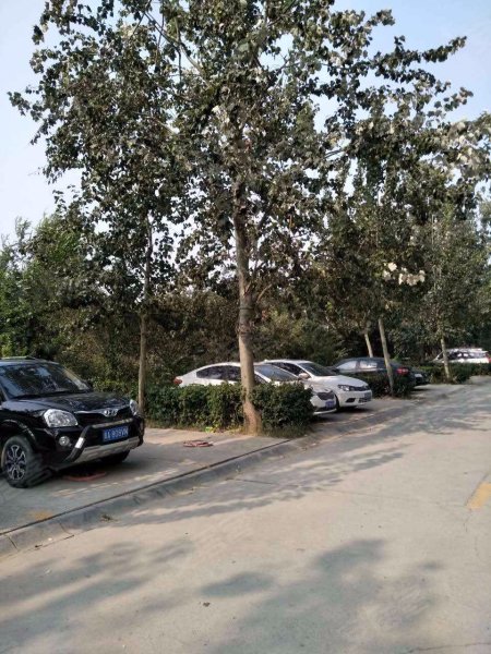 朗润园,232省道-石家庄朗润园二手房,租房,房价-石家庄安居客