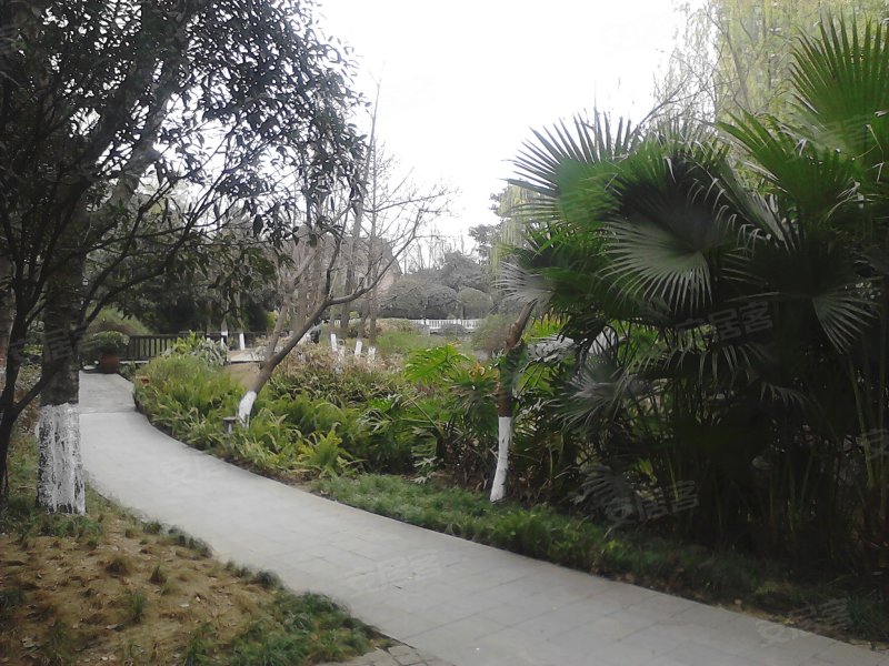 原乡,滨河路二段189号-成都原乡二手房,租房,房价-成都安居客