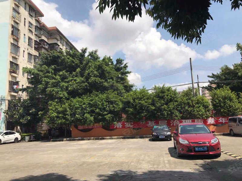 碧海花园(安乐三街),安乐三街212号-深圳碧海花园(安乐三街)二手房