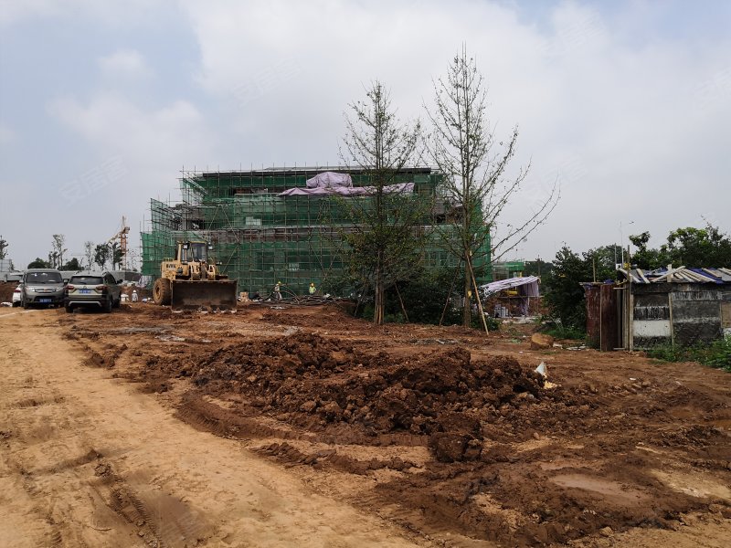 鸿通公园1988,新城一路-南充鸿通公园1988二手房,租房,房价-南充安居