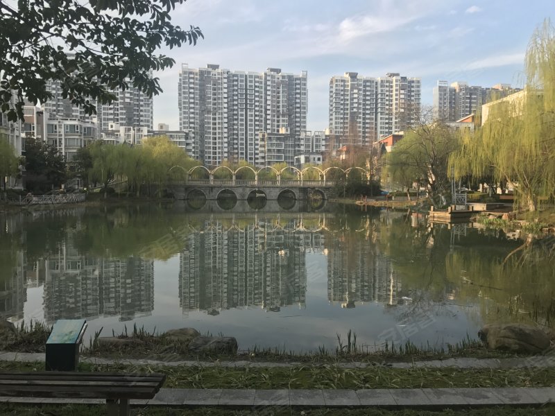 顺德华侨城天鹅湖花园图片