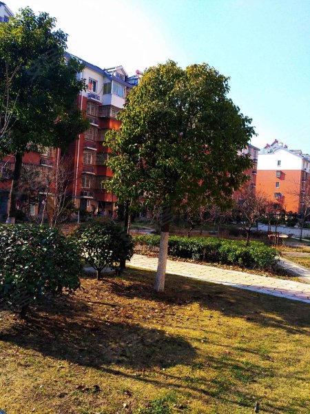 凤凰曦城东苑,周山河路-泰州凤凰曦城东苑二手房,租房,房价-泰州安居