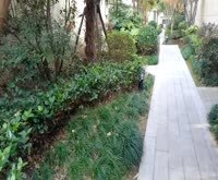 阳光城花满墅(别墅)