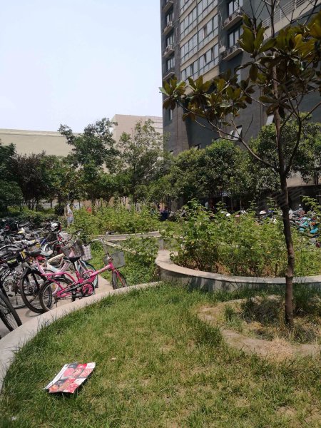 旭日龙园,商都路-郑州旭日龙园二手房,租房,房价-郑州安居客