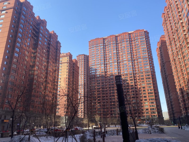 紫金城,新阳路773号-哈尔滨紫金城二手房,租房,房价-哈尔滨安居客