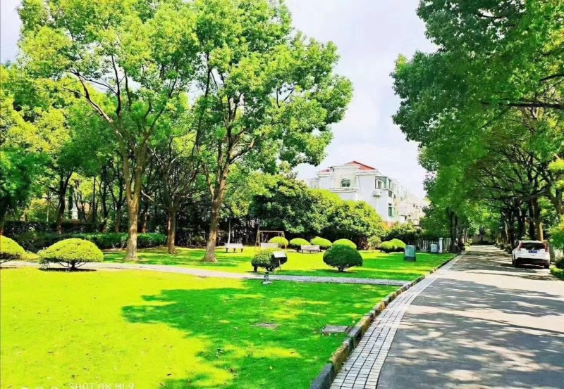 新申花城水仙苑(别墅) 