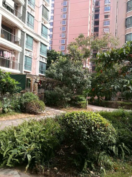 碧河花园,沿河街-东莞碧河花园二手房,租房,房价-东莞安居客