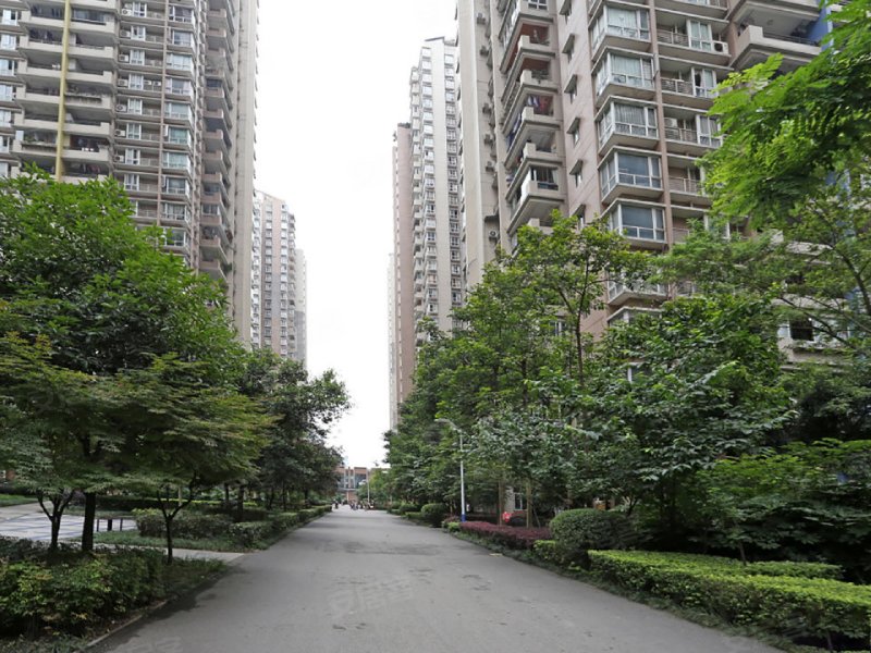 诚投天邻风景,新南路388号-重庆诚投天邻风景二手房,租房,房价-重庆