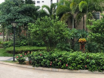 景观花园小区图片相册,海口景观花园实景图,室外图,小区配套图-海口