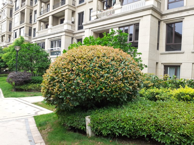 滨江稽山翡翠园,二环南路-绍兴滨江稽山翡翠园二手房,租房,房价-绍兴