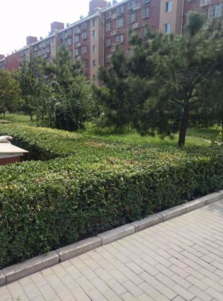 高鑫家园,高立庄南路9号 - 北京高鑫家园二手房,租房,房价-北京安居客