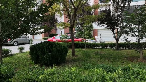 金海花园(平度)