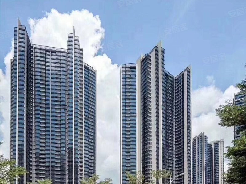 河畔明居(明苑大厦),滨河大道-深圳河畔明居(明苑大厦)二手房,租房