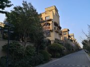 龙湖滟澜山(二期公寓住宅)