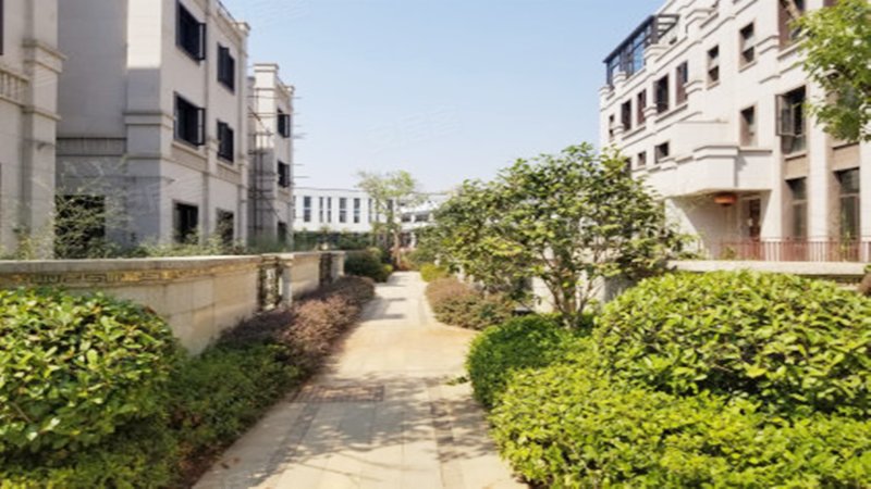 明园九龙湾(别墅)